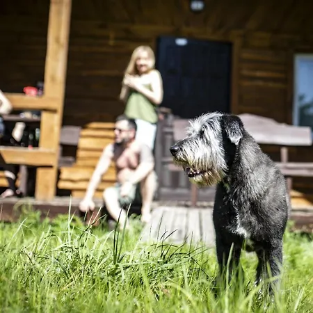 Czerwony W Sloncu Mazur