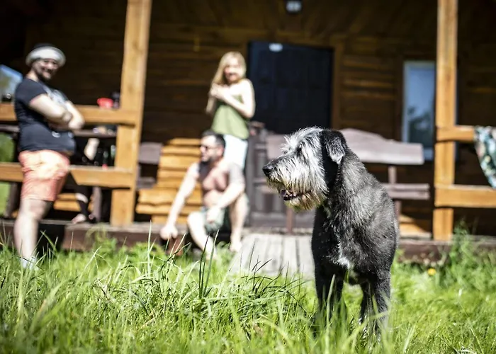 Czerwony W Słońcu Mazur